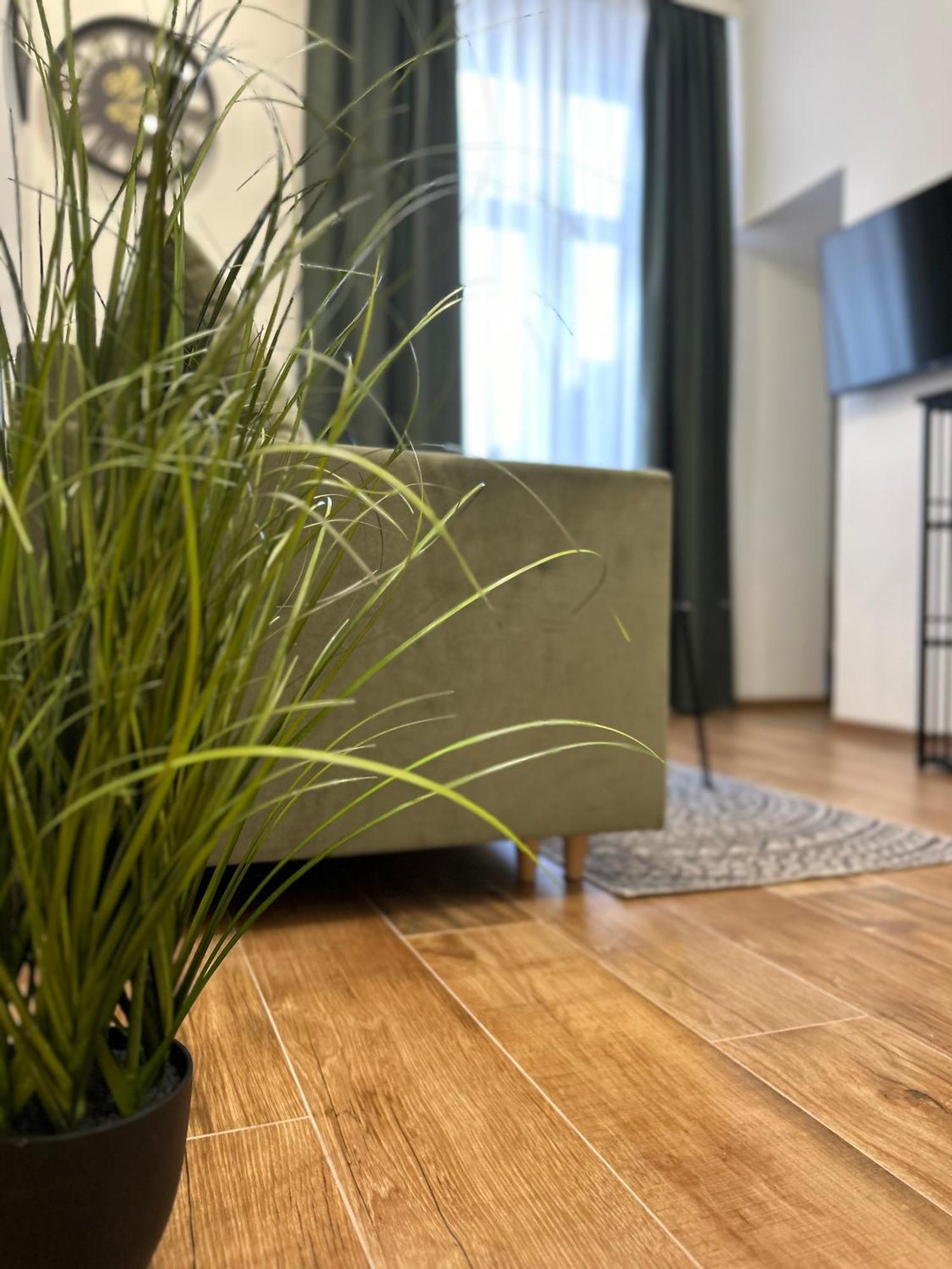 Apartament Krasinskiego Przemyśl Extérieur photo